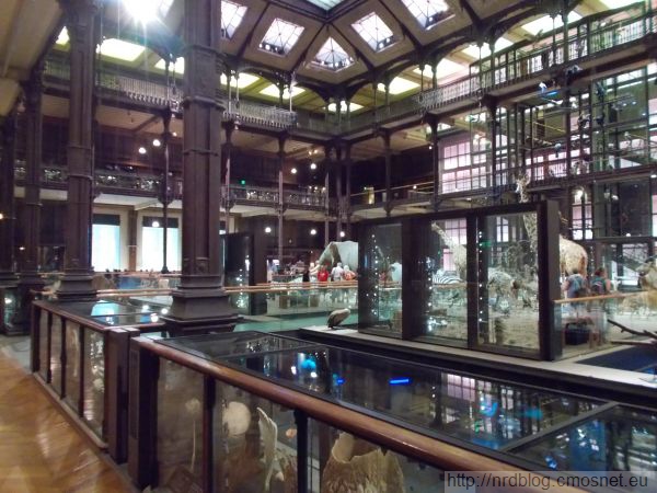 Muséum national d’histoire naturelle - Grande galerie de l'évolution, Paryż