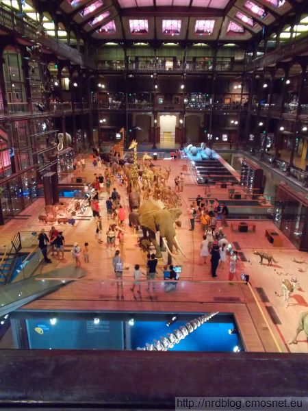 Muséum national d’histoire naturelle - Grande galerie de l'évolution, Paryż