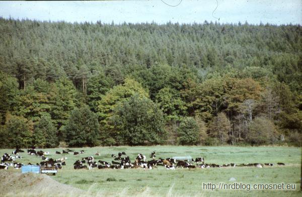 Krajobrazy wiejskie z NRD w roku 1988