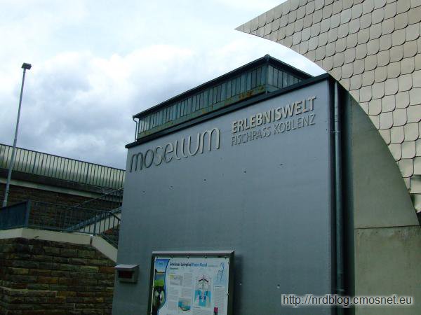 Mosellum Koblenz