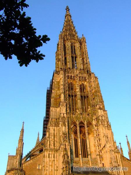 Katedra w Ulm